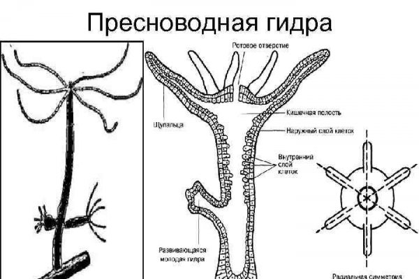 Кракен продает наркотики