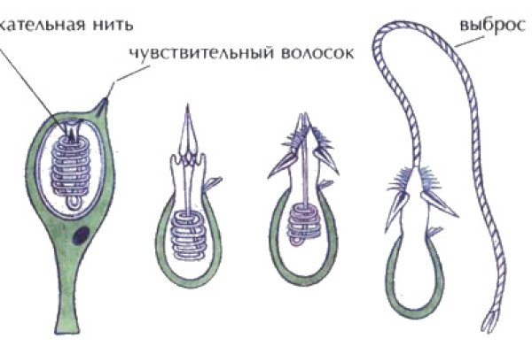 Можно ли вывести деньги с кракена